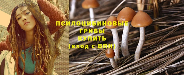 прущая мука Чегем