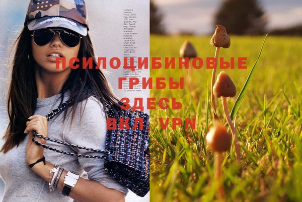 соль ск Конаково